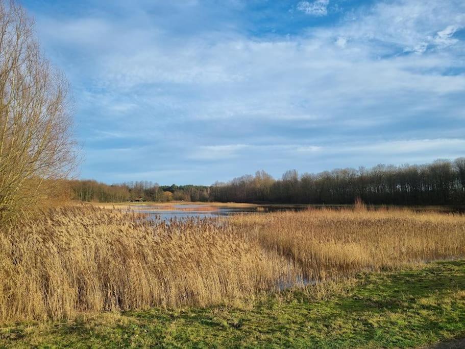 Luxe-Avontuur In Een Romantische Cabin In Het Bos Stekene Exteriör bild
